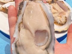 -千岛蚝高压锅生蚝·人参火锅(白云万达店)