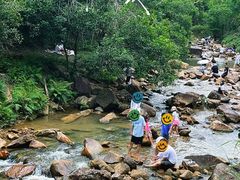 -广州白江湖森林公园