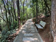 -仙岳公园