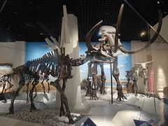 -国家自然博物馆