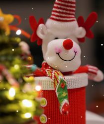 -贝瑞佳月子会所(杭州旗舰店)