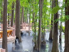 -东湖落雁景区