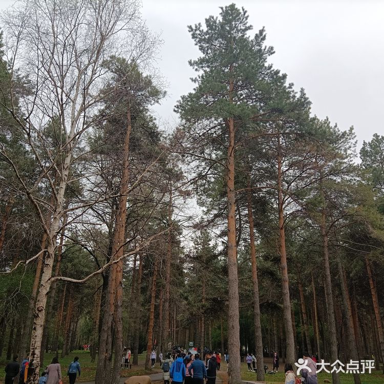 五一五天假哈尔滨免费游攻略