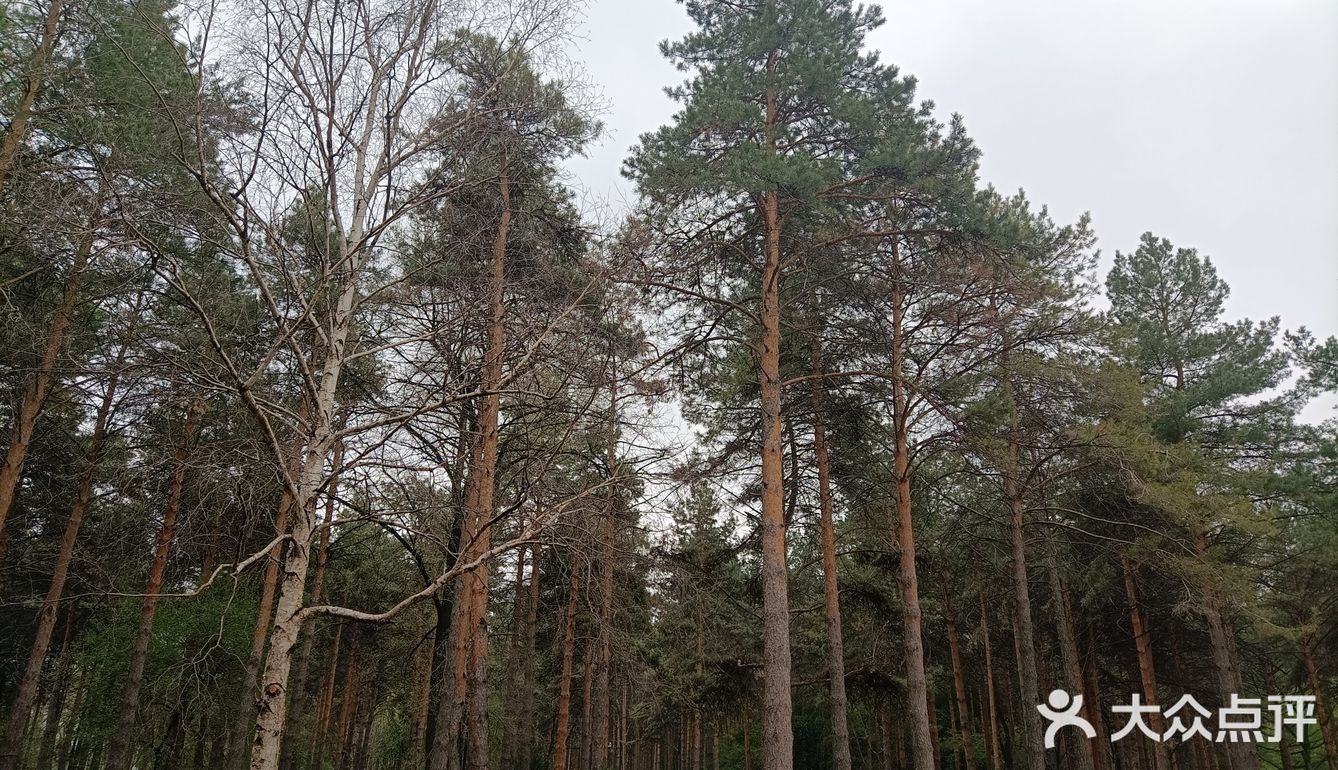 五一五天假哈尔滨免费游攻略