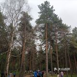 五一五天假哈尔滨免费游攻略