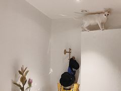 -星皖工长俱乐部·老房装修