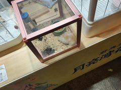 -瑞虹新天地月亮湾