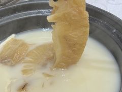 -凤城礼记鱼翅海鲜酒家(新马路总店)