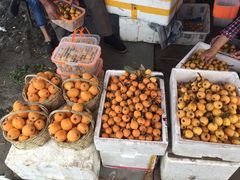 -塘栖枇杷特色园区