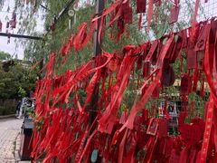 -茯茶镇