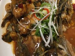 -小平岛開海水饺(浑南店)