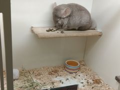 -龙猫仔乐园(惠福东路店)