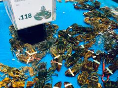 -盒马鲜生(联投广场店)