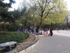 -丰台花园