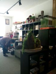 android_upload_pic-映刻纹身