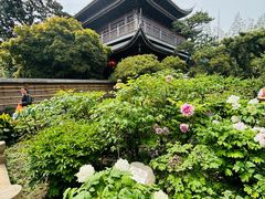 -龙华素斋(龙华路店)