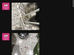 -電力宠物公司(武定路店)