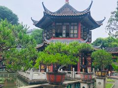 -碧江金楼