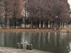 -长广溪湿地公园