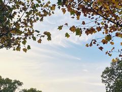 -上海吴淞炮台湾国家湿地公园