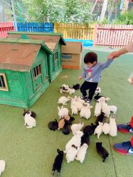 -萌宠亲子动物乐园(槐房万达店)