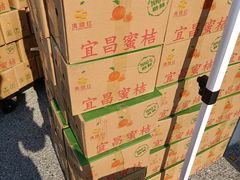 -中国农业博物馆