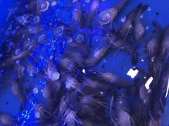 -澜悦港海鲜体验主题餐厅