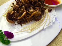品海小巴蛸-品海楼·大连海胆锅贴馆(东港店)