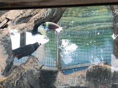 -鄂尔多斯野生动物园