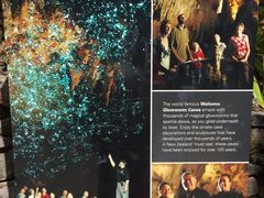 -怀托摩萤火虫洞