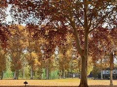 -河南省黄河迎宾馆