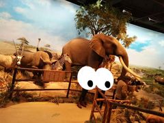 -陕西自然博物馆