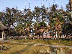 -四川大学(望江校区)