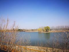 -东郊湿地公园