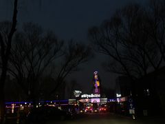 -枫花园汽车电影院(朝阳公园店)