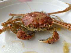 -天鹰观渔(梦园店)