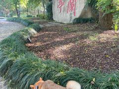 -兰亭风景区