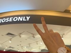 -ROSEONLY诺誓(广州K11店)