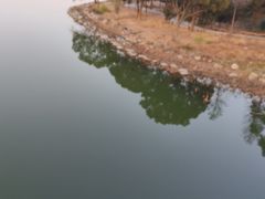 -长广溪湿地公园