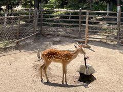 -青藏高原野生动物园