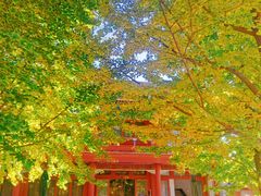 -北京石刻艺术博物馆(五塔寺)