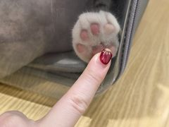 -芭比堂动物医院·24小时·眼科中心(深圳中心)
