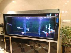 水产区-醉香园(长江北路店)