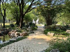 -东湖落雁景区