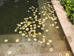 -郑州银基黄帝宫御温泉