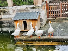 -苏州文庙(姑苏区)