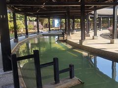 -三江森林温泉度假区