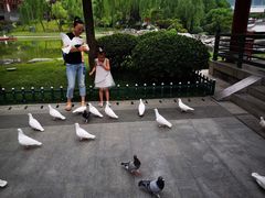 -西安曲江寒窑遗址公园