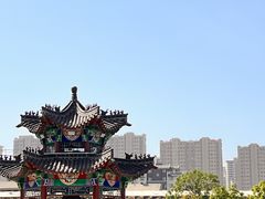 -曹州牡丹园