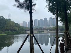 -重庆彩云湖湿地公园